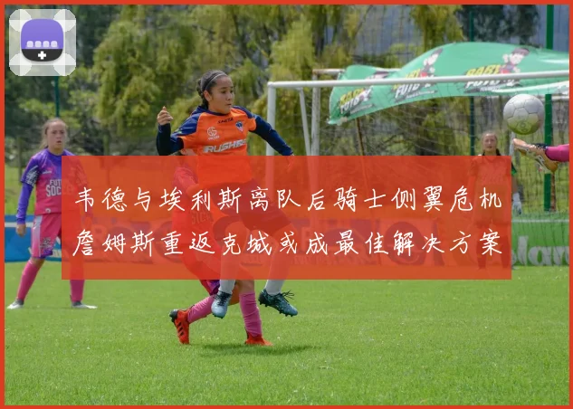 韦德与埃利斯离队后骑士侧翼危机詹姆斯重返克城或成最佳解决方案