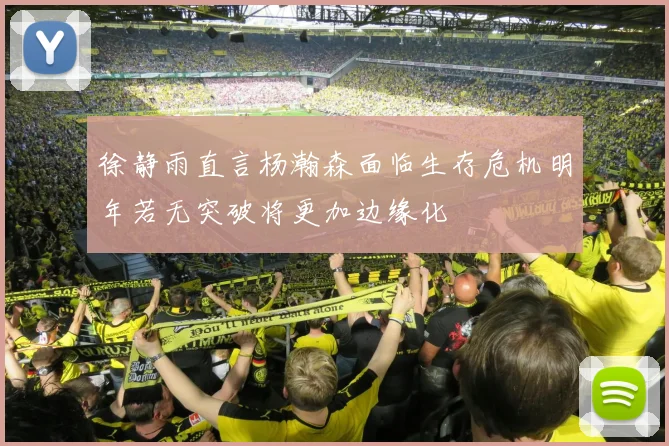 徐静雨直言杨瀚森面临生存危机明年若无突破将更加边缘化