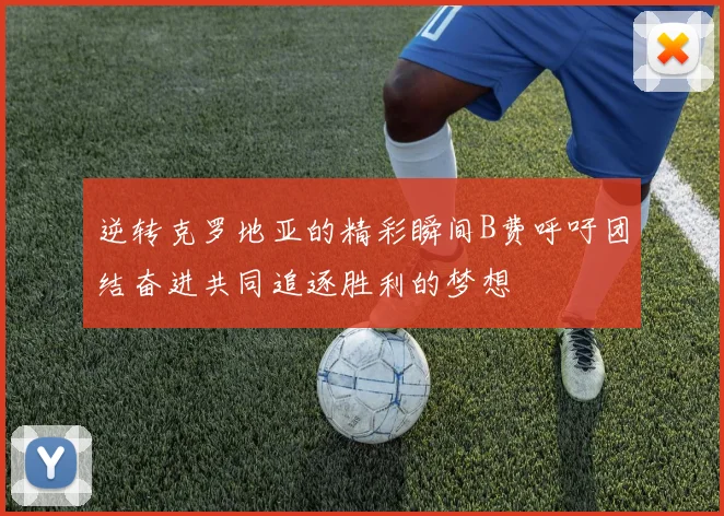 逆转克罗地亚的精彩瞬间B费呼吁团结奋进共同追逐胜利的梦想