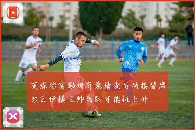 英媒称富勒姆有意请麦肯纳接替席尔瓦伊镇主帅离队可能性上升