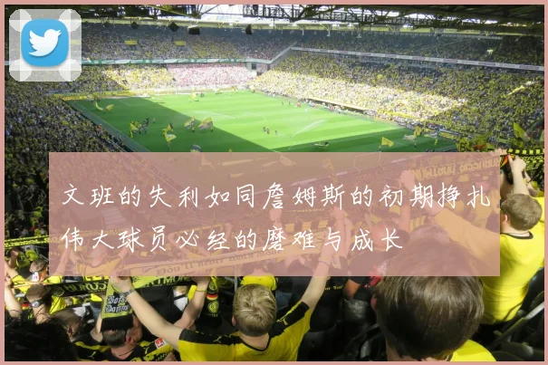 文班的失利如同詹姆斯的初期挣扎伟大球员必经的磨难与成长